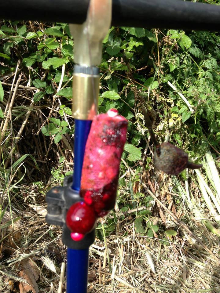 calitate produs+experienta=rezultat - 994650258040437667633946287081n.jpg